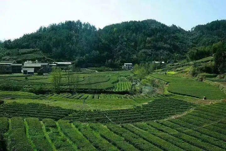 细沙坪乡最新项目,细沙坪乡最新项目，乡村振兴的新引擎