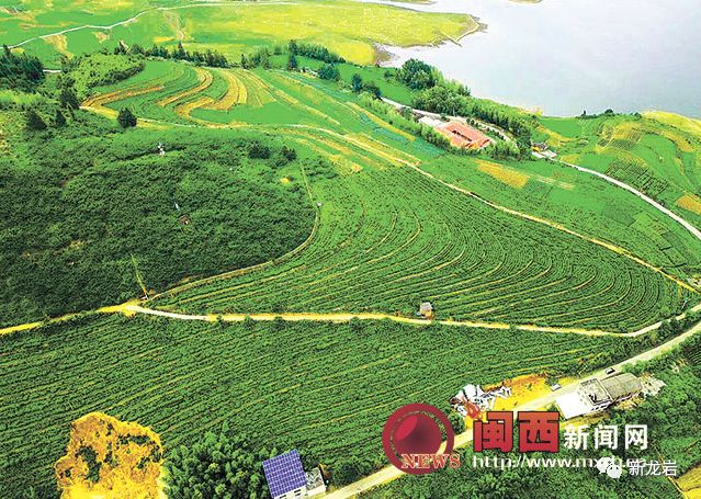 虎头岗乡最新发展规划,虎头岗乡最新发展规划，塑造乡村新面貌，推动可持续发展