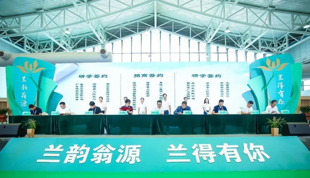 翁源县科学技术和工业信息化局最新新闻,翁源县科学技术和工业信息化局的最新新闻，推动科技创新，引领工业信息化新时代
