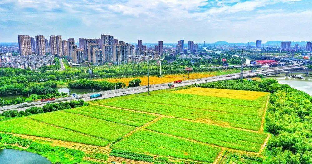 东北塘镇最新交通新闻,东北塘镇最新交通新闻，迈向现代化交通体系的新篇章