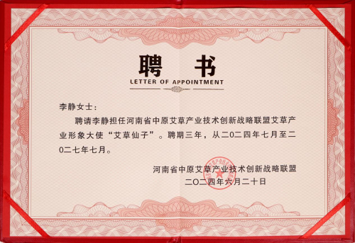 洮北区教育局最新人事任命,洮北区教育局最新人事任命，重塑教育格局，引领未来之光