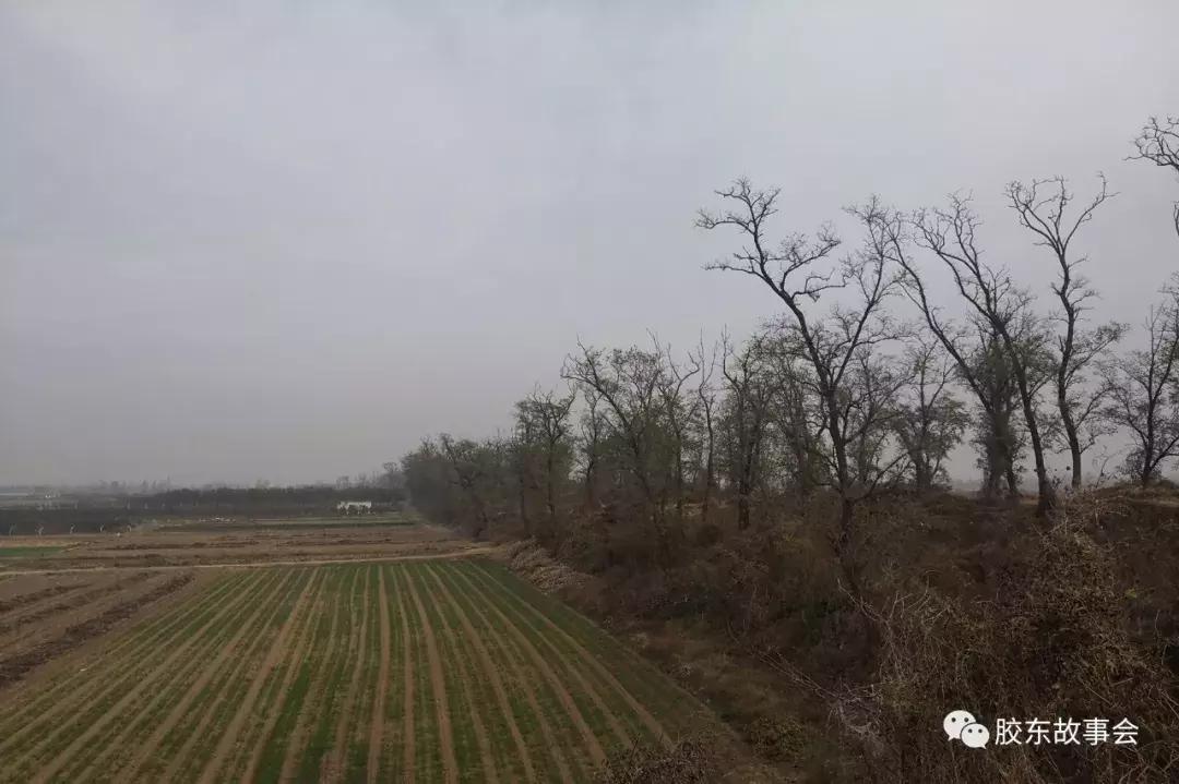 故城县公路运输管理事业单位最新发展规划,故城县公路运输管理事业单位最新发展规划