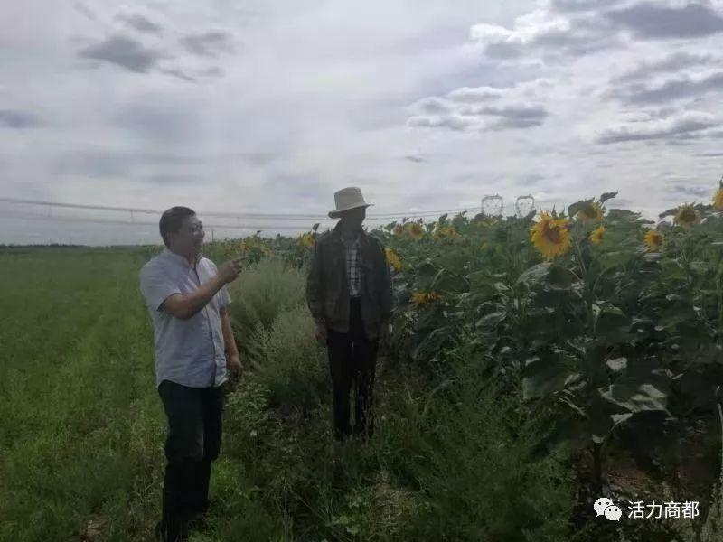 商都县民政局最新项目,商都县民政局最新项目，推动社区发展，提升民生福祉