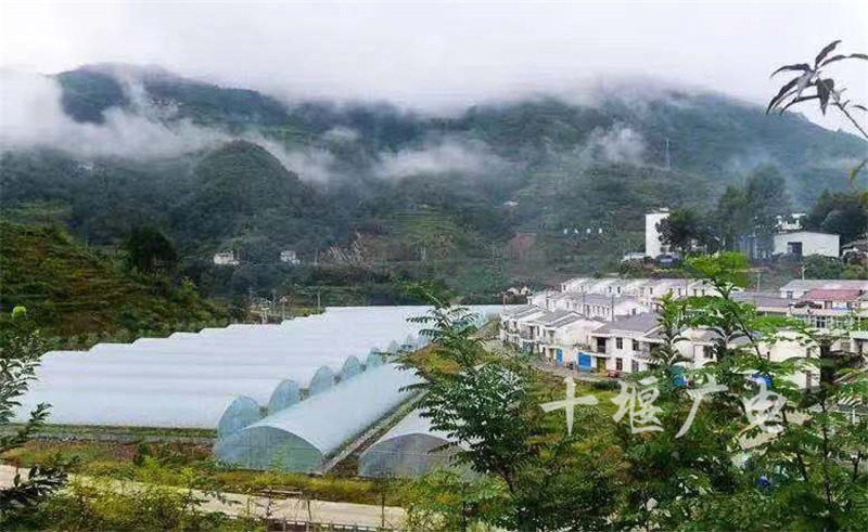 竹溪镇最新项目,竹溪镇最新项目，引领地方发展的璀璨明珠