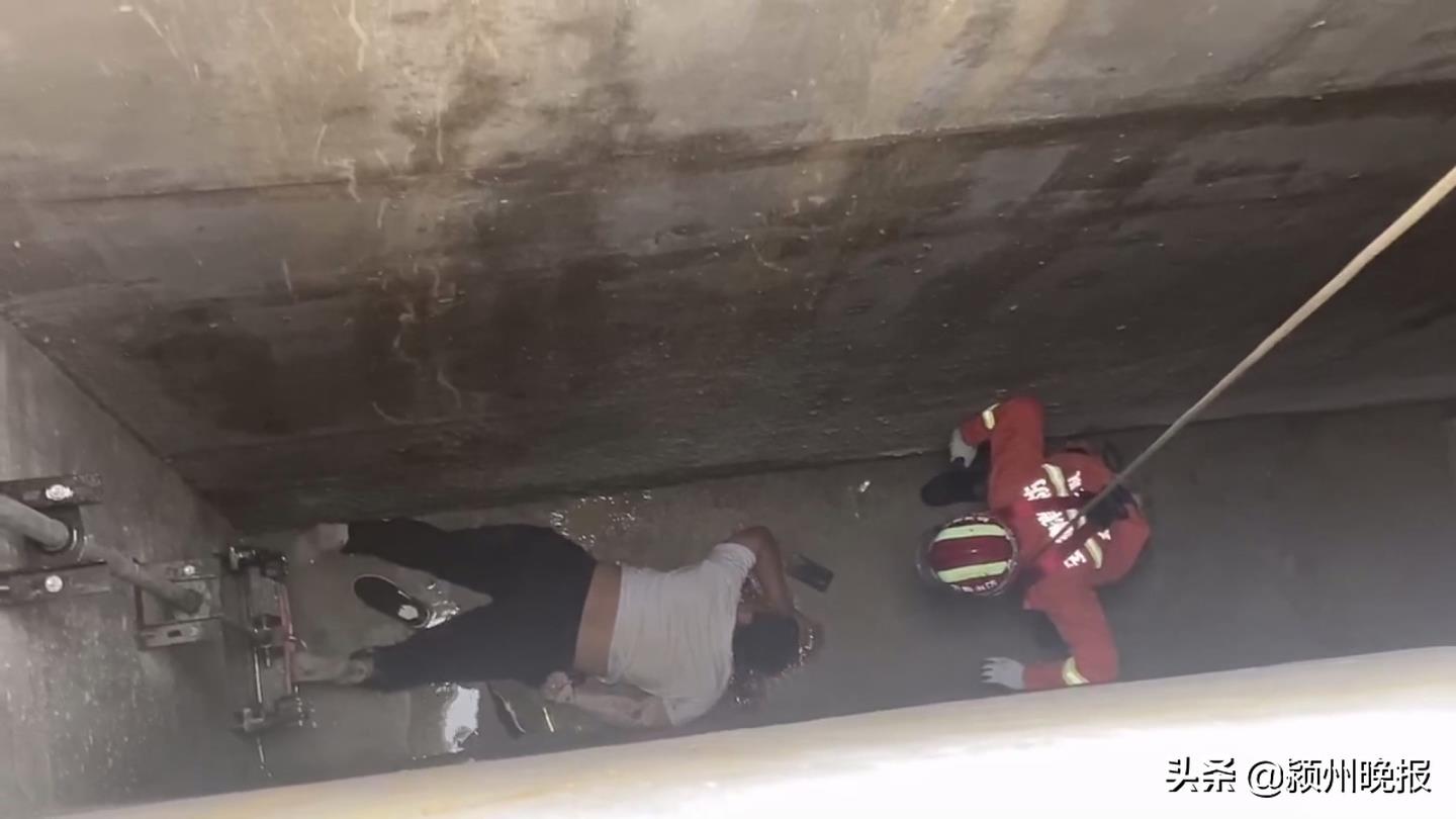 临泉县级公路维护监理事业单位最新领导,临泉县级公路维护监理事业单位最新领导概览