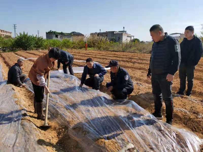 靖城镇最新天气预报,靖城镇最新天气预报