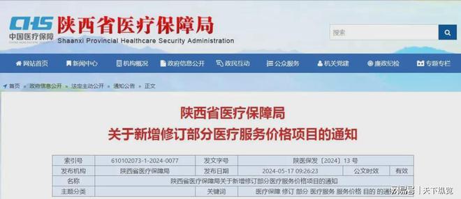 技术咨询 第19页