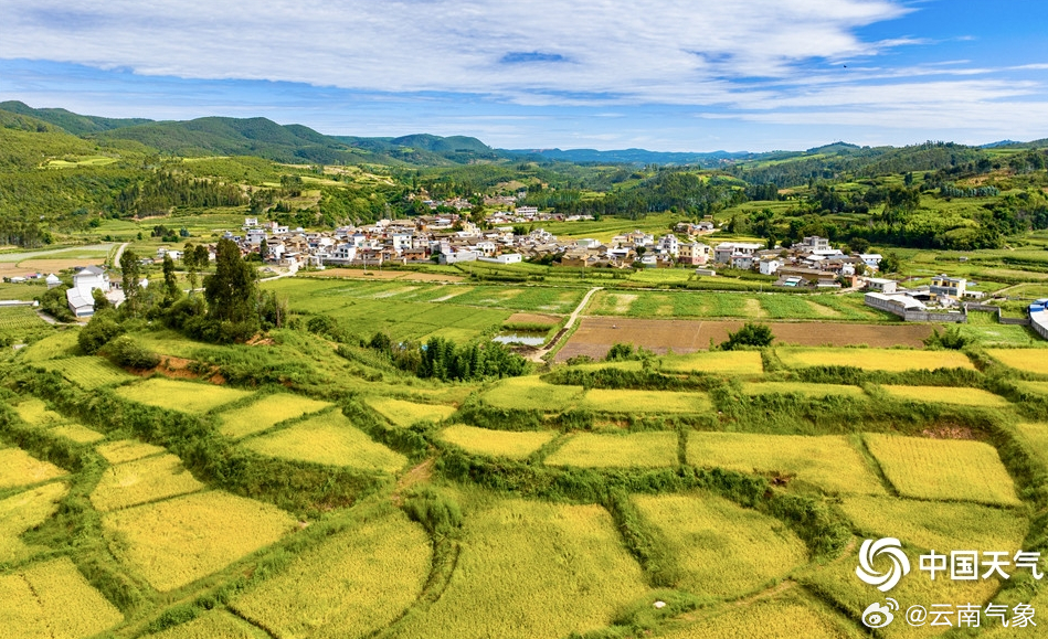 树皮彝族乡最新天气预报,树皮彝族乡最新天气预报及影响分析