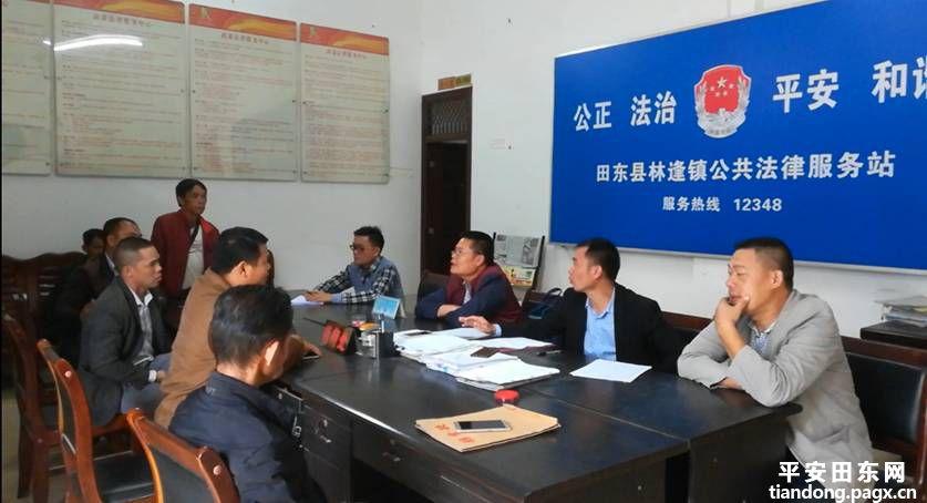 林逢镇最新交通新闻,林逢镇最新交通新闻，交通发展带动地方经济繁荣