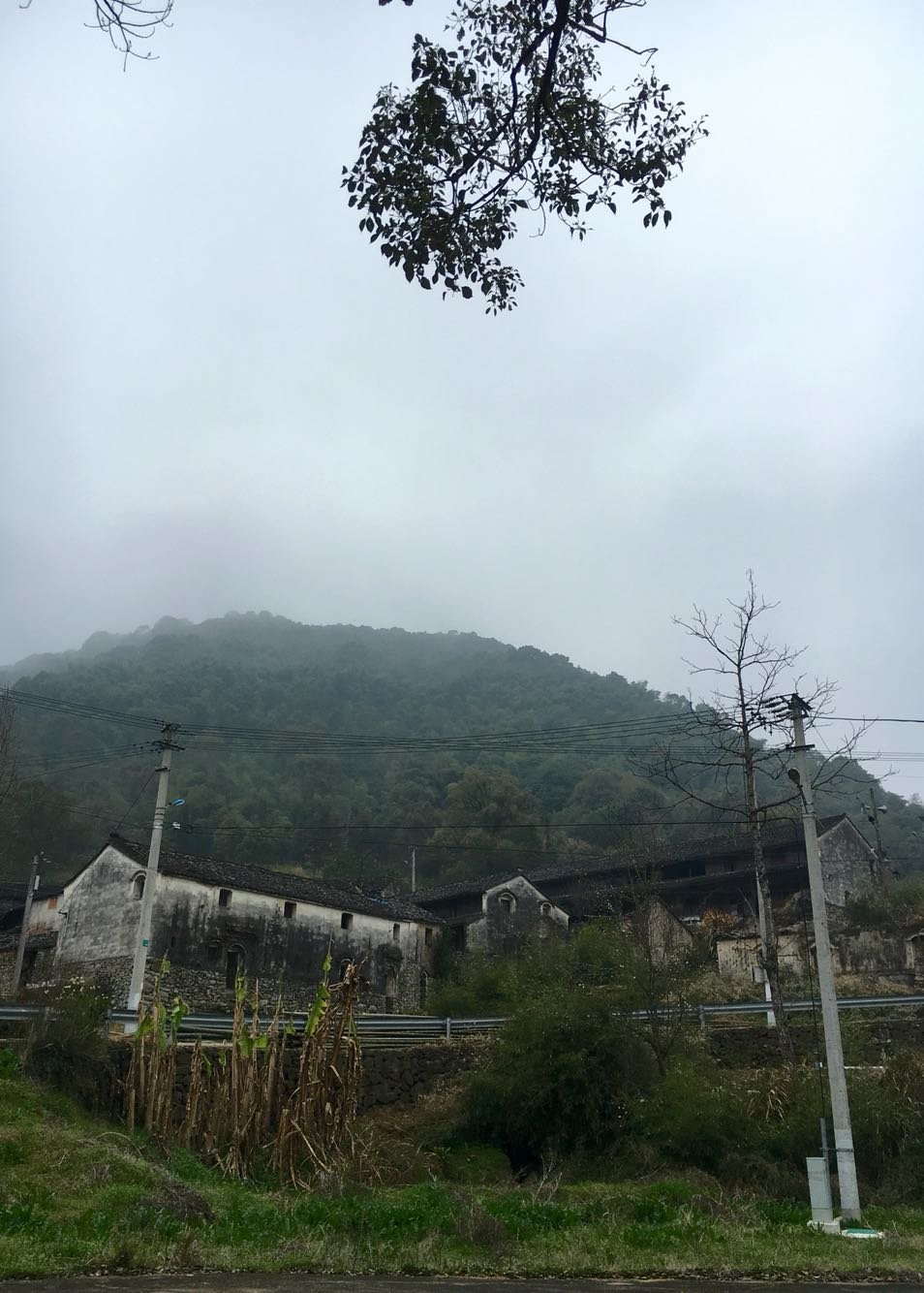 落儿岭镇最新天气预报,落儿岭镇最新天气预报