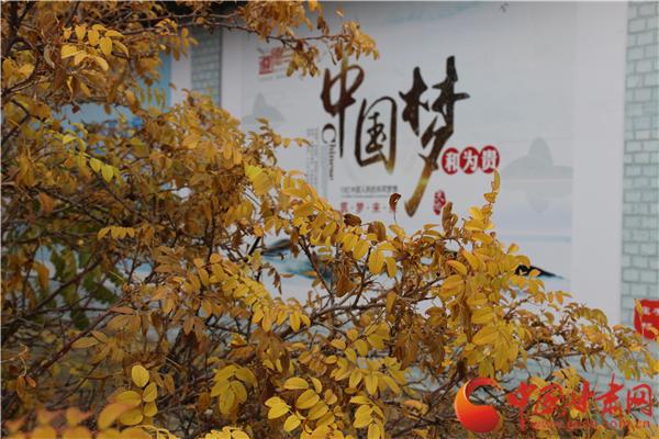 全车改装套件 第15页