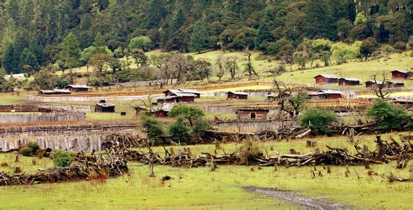 托嘎村最新天气预报,托嘎村最新天气预报