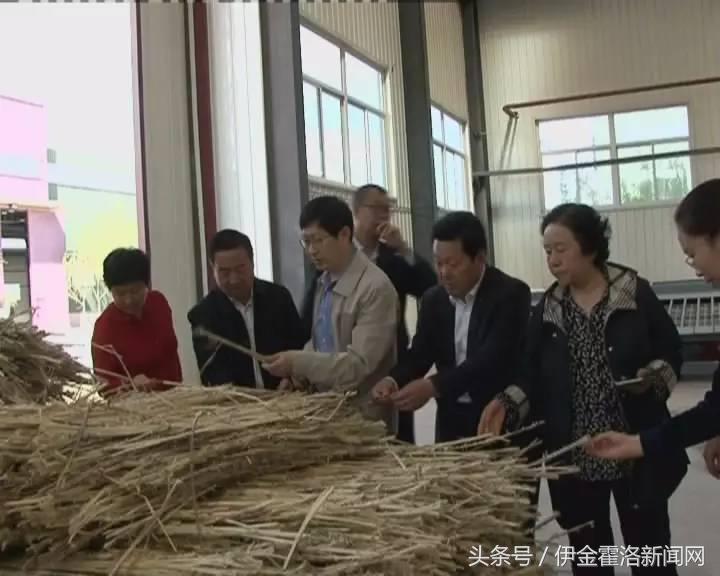 鄂尔多斯市市社会科学院最新新闻,鄂尔多斯市社会科学院最新新闻