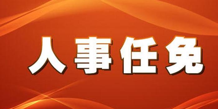 南街村委会最新人事任命,南街村委会最新人事任命，重塑乡村治理格局与未来展望