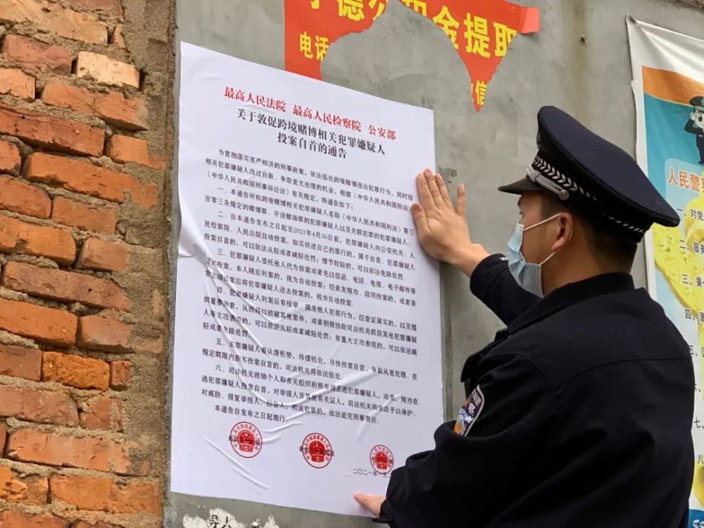 蓬安县统计局最新人事任命,蓬安县统计局最新人事任命，推动统计事业迈向新台阶