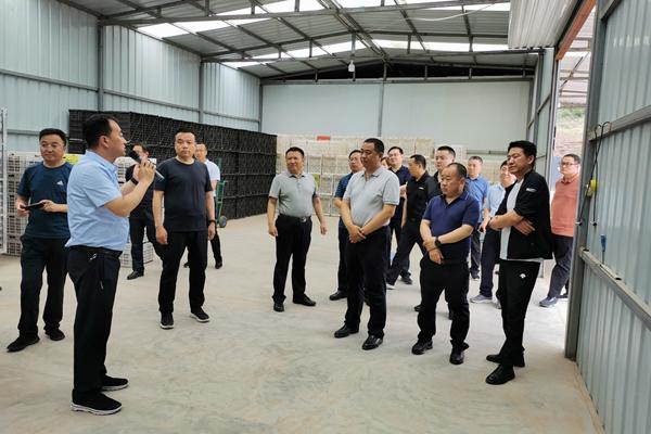 古塔区文化局等最新招聘信息,古塔区文化局最新招聘信息及职位详解