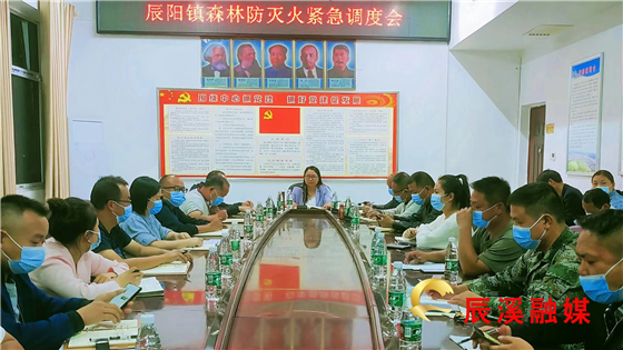 辰阳镇最新领导,辰阳镇最新领导及其领导下的新篇章