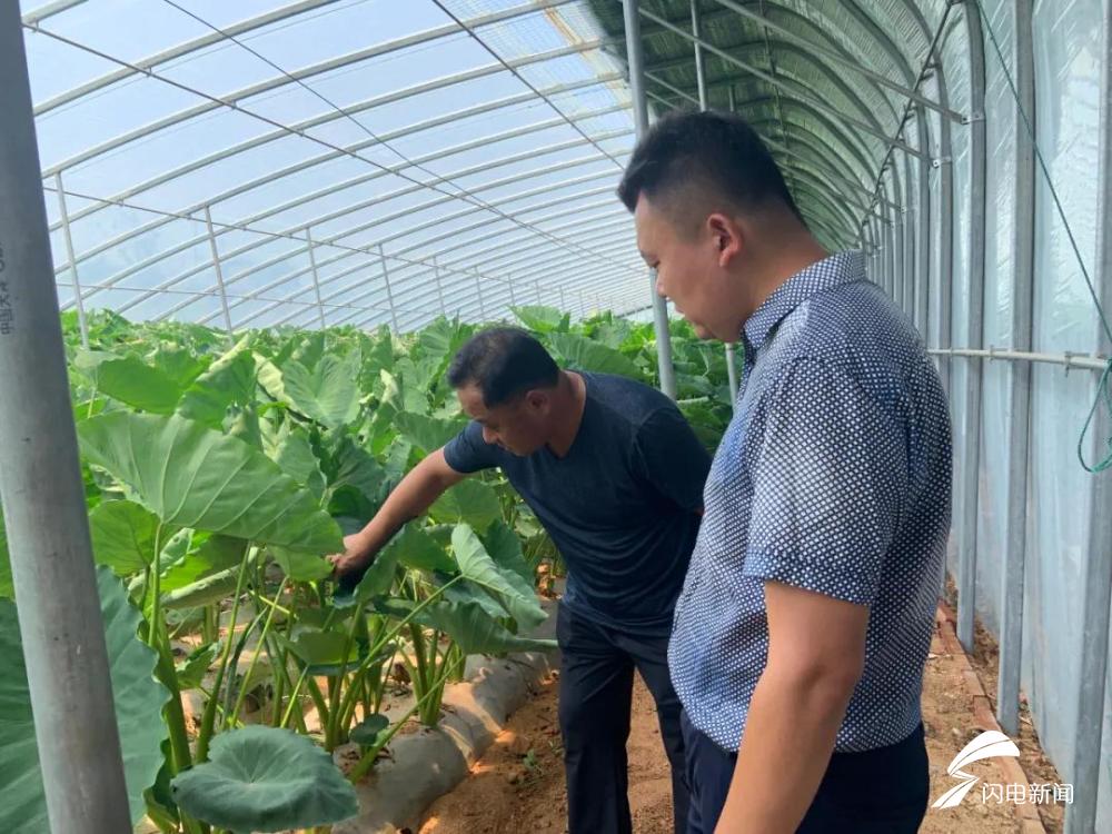 高崖镇最新新闻,高崖镇最新新闻报道