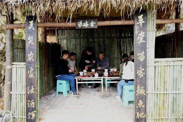 栏栊乡最新项目,栏栊乡最新项目，引领乡村发展的动力源泉