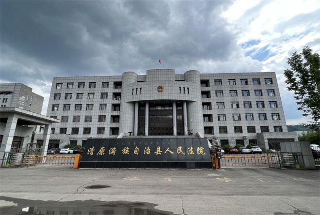 宝清县人民政府办公室最新项目,宝清县人民政府办公室最新项目概述