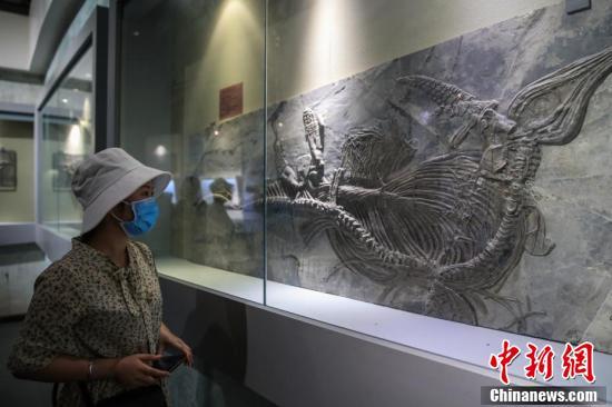 关岭布依族苗族自治县文化广电体育和旅游局最新人事任命,关岭布依族苗族自治县文化广电体育和旅游局最新人事任命