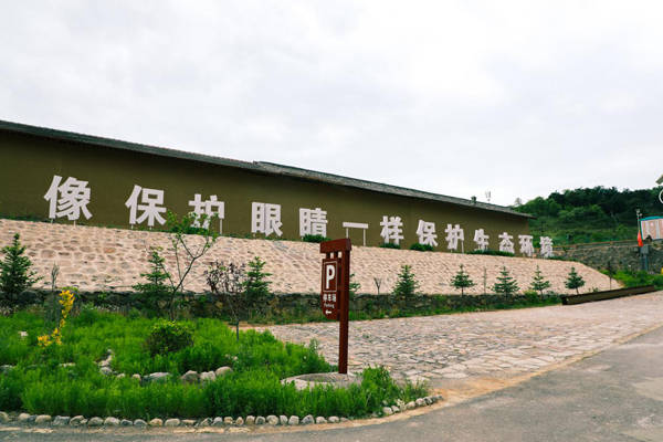 山西省长治市沁源县灵空山镇最新项目,山西省长治市沁源县灵空山镇最新项目，推动地区发展的强大引擎