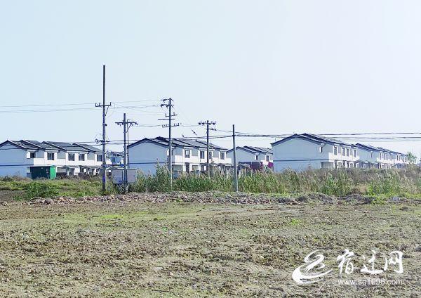 张塘村最新交通新闻,张塘村最新交通新闻，交通发展助力乡村振兴