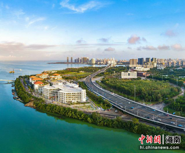 海南区发展和改革局最新项目,海南区发展和改革局最新项目概览